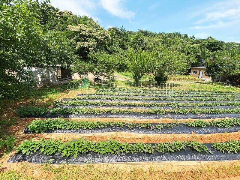 양평군 양서면 청계리 청계산 자락의 공기좋은 토지_12